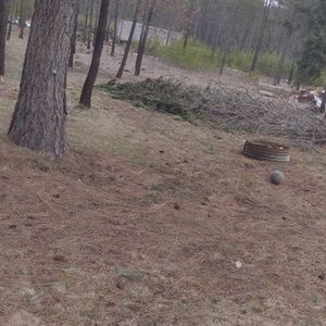 Meet your Posher, Allyson